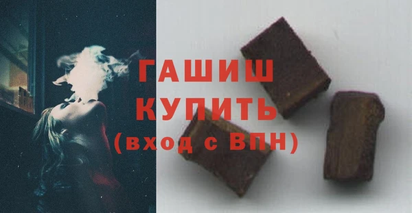 тгк Ельня