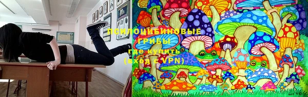 MDMA Дмитров