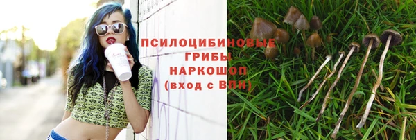 мяу мяу кристалл Елизово